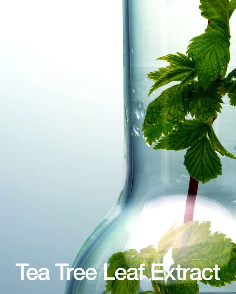 BHA 2% Gentle Exfoliating Toner - Image 5